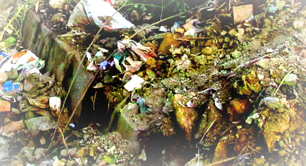 Вывоз мусора в Кубинке